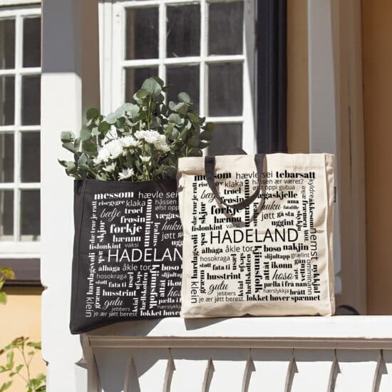 Hadeland dialektnett