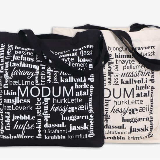Modum dialektnett