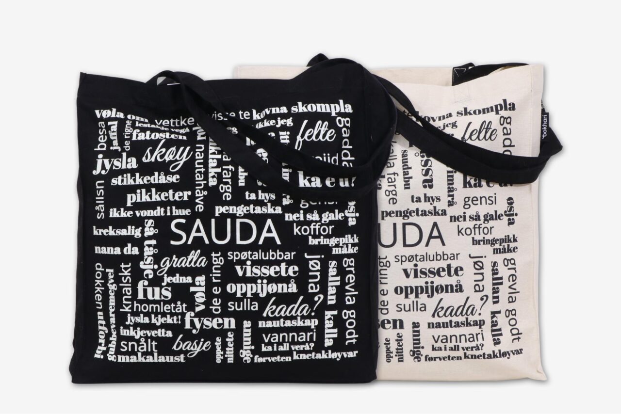 Sauda dialektnett